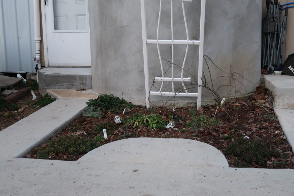 cement with half circle into garden bed, white trellis against gray stucco, white door back left