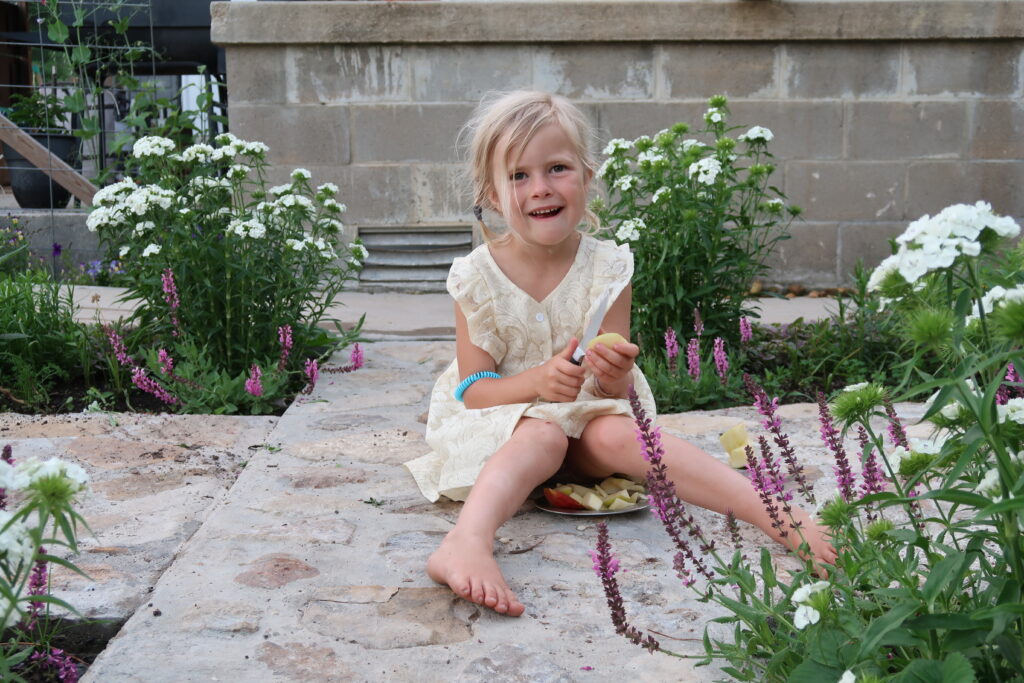 little girl with blond hair and white dress sitting on cobblestone with rose salvia and white Sweet William all around